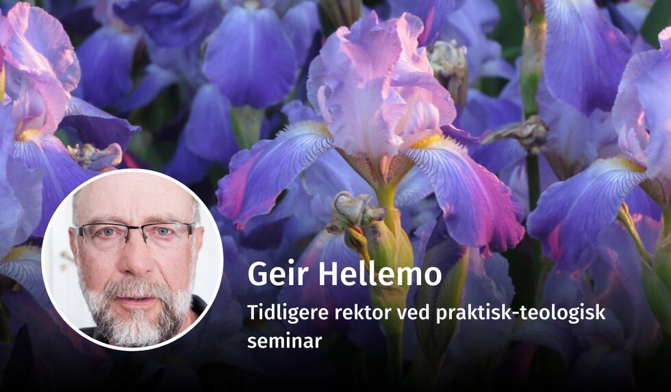 Geir Hellemo