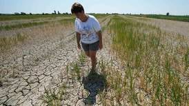 Tørke truer Europas kornkamre