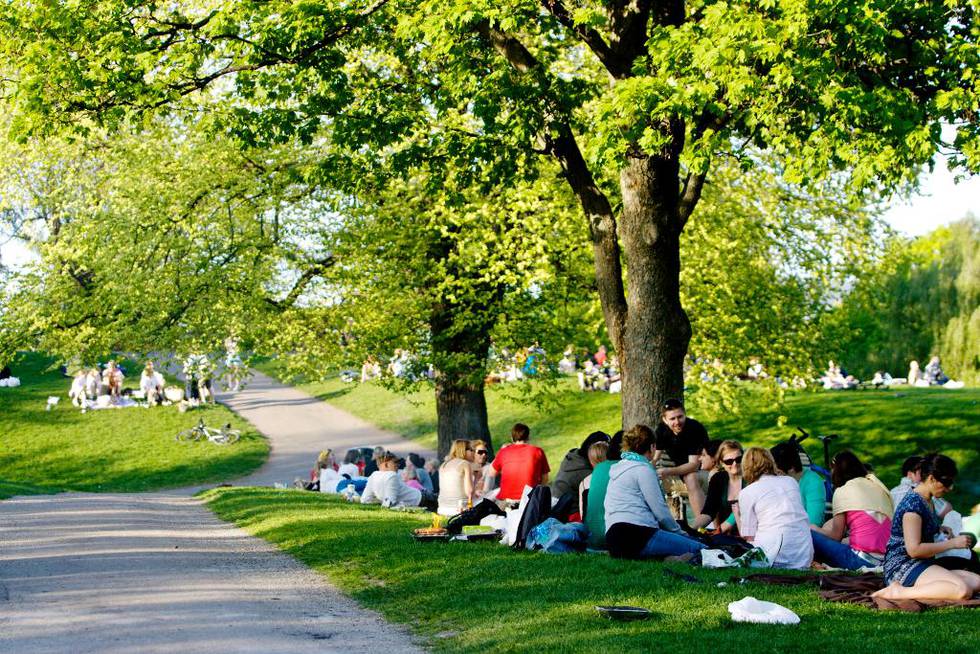 De som vil skal få nyte pils i parken, mener Høyre og Frp. Men Venstre – som sitter på avgjørende vippestemmer i Stortinget – lar seg ikke lokke av Frps nye forslag. 
