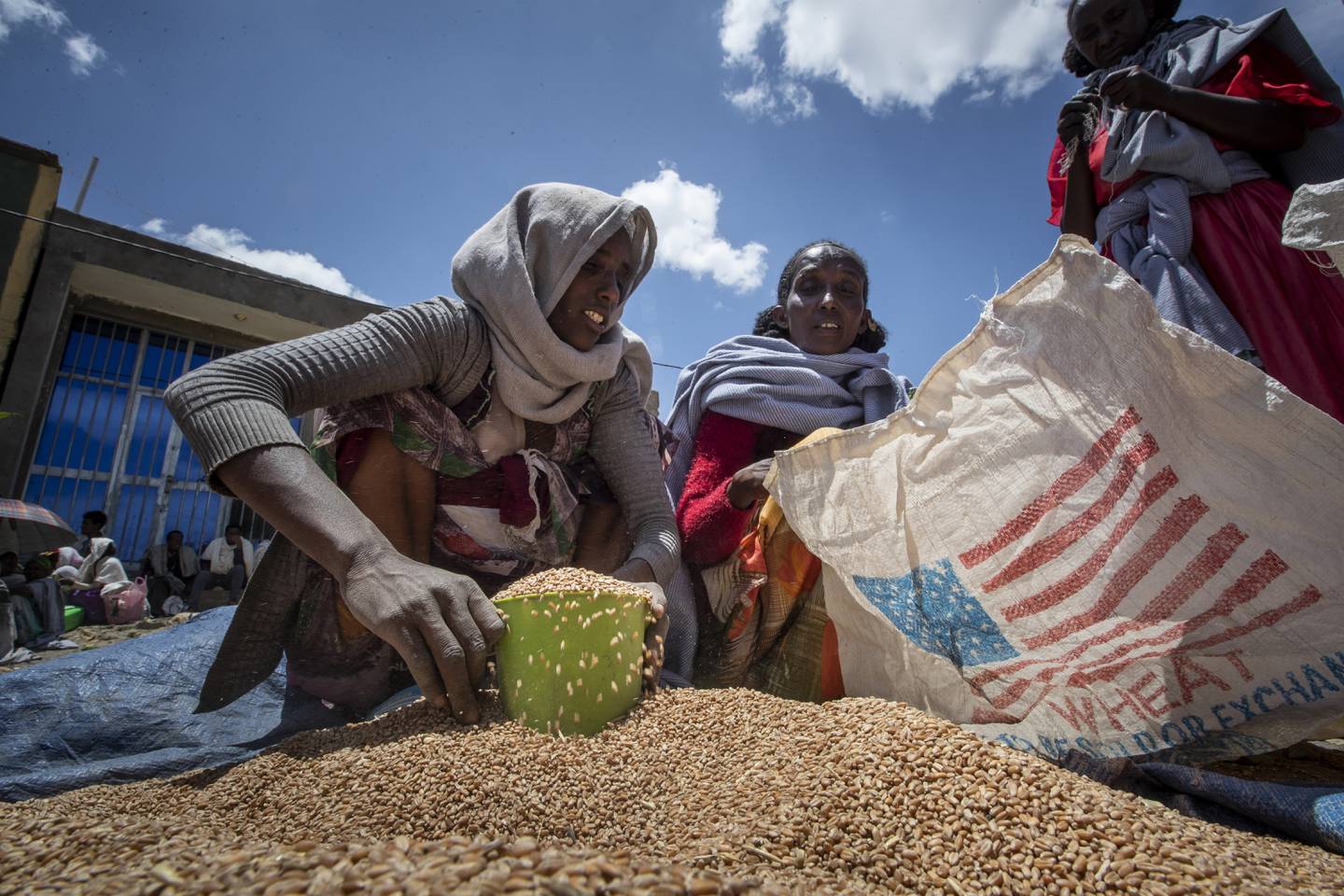 En kvinne i Tigray henter en rasjon med hvete på dette arkivbildet fra mai 2021. FNs matvareprogram har nå gjenopptatt leveransen av mat til Etiopia. Arkivfoto: Ben Curtis / AP / NTB