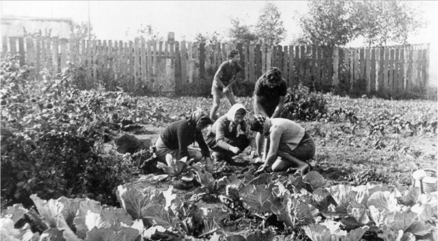 Jødiske kvinner planter grønnsaker i gettoen i den polske byen Lodz.