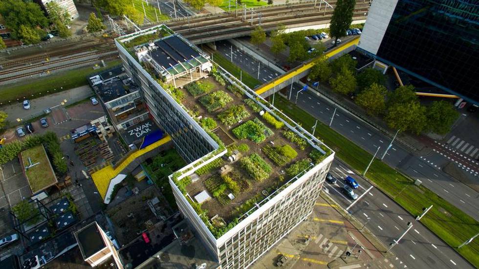 Rotterdams forretningsstrøk ligger Europas største takhage, DakAkkers. Her sett fra lufta. På taket er det også en kafé og hver fredag kommer frivillige for å hjelpe til å holde grønnsakshagen i stand.