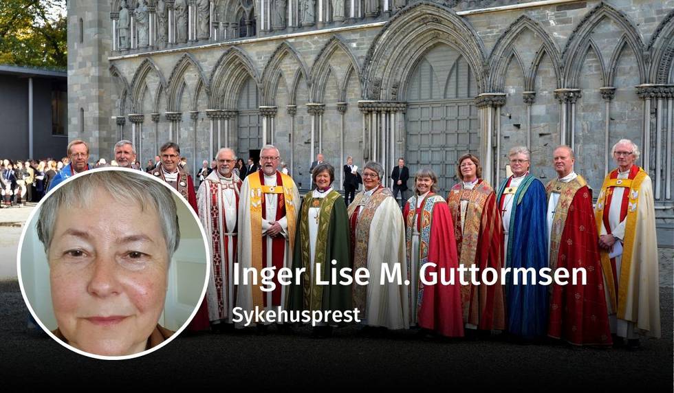 Inger Lise Myhre Guttormsen, metoo i dnk, debatt