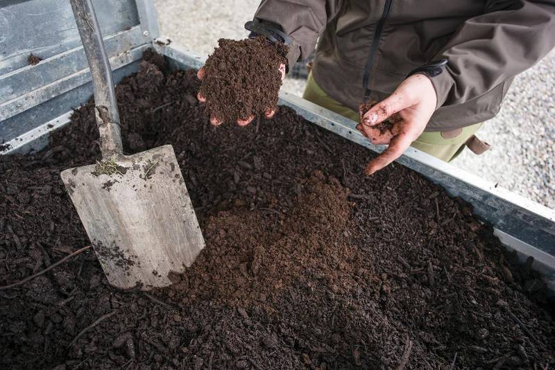 Gartner Marianne Utengen vil ha god kompostjord, ikke jord med mye torv. ­ – Torven skader ikke direkte, men er et dødt vekstmedium. Dessuten er den ikke bra for balansen i naturregnskapet.