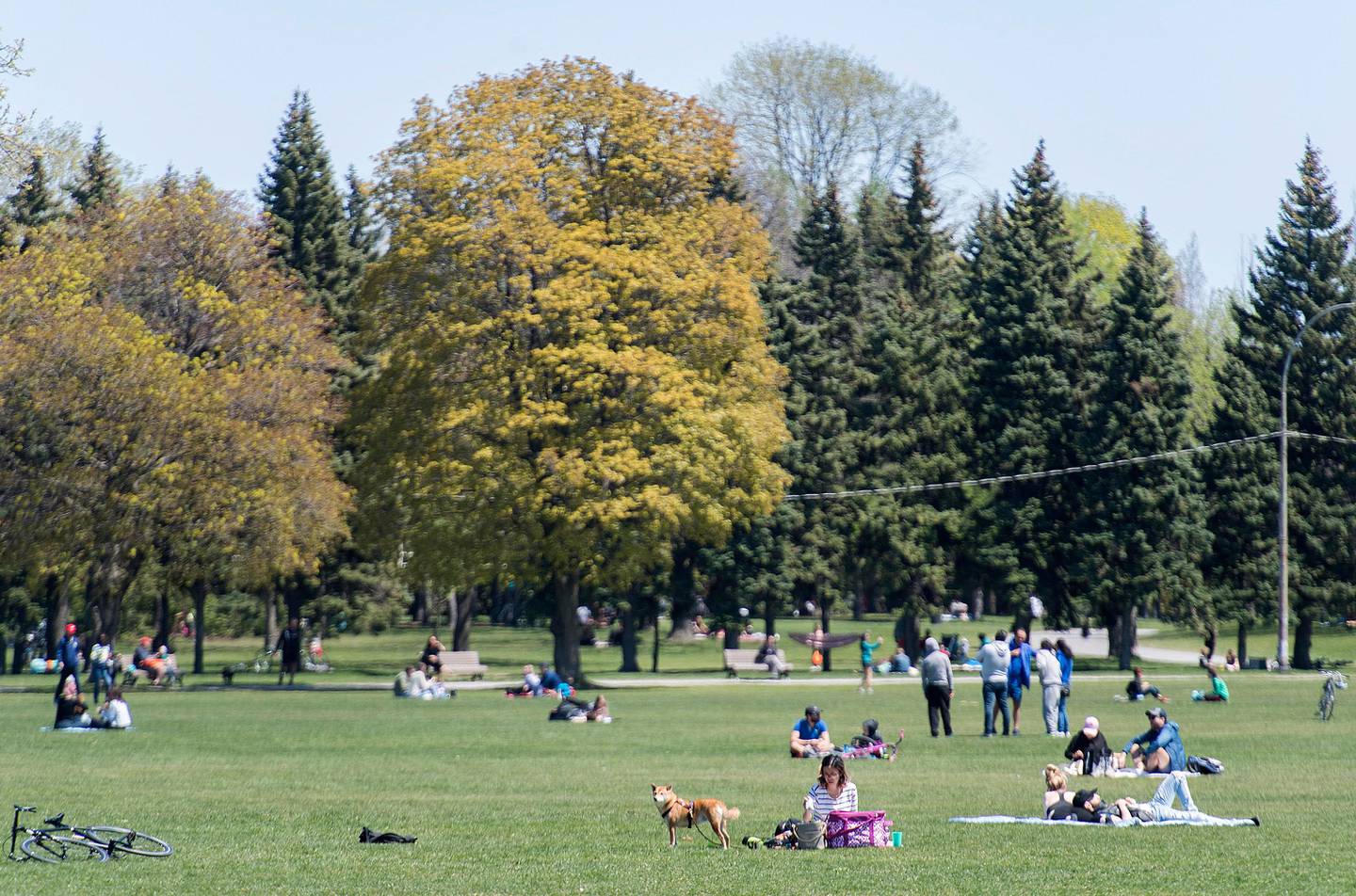 People gather in a city park on a warm sunny day in Montreal, Monday, May 18, 2020, as the COVID-19 pandemic continues in Canada and around the world. (Graham Hughes/The Canadian Press via AP)