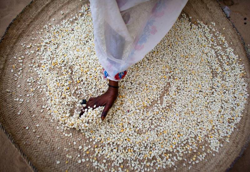 Hvis trendene forstetter, vil vi ikke nå målet om å utrydde sult innen 2030, ifølge FNs organisasjon for mat og landbruk (FAO): The Future of Food and Agriculture, Trends and Challenges.