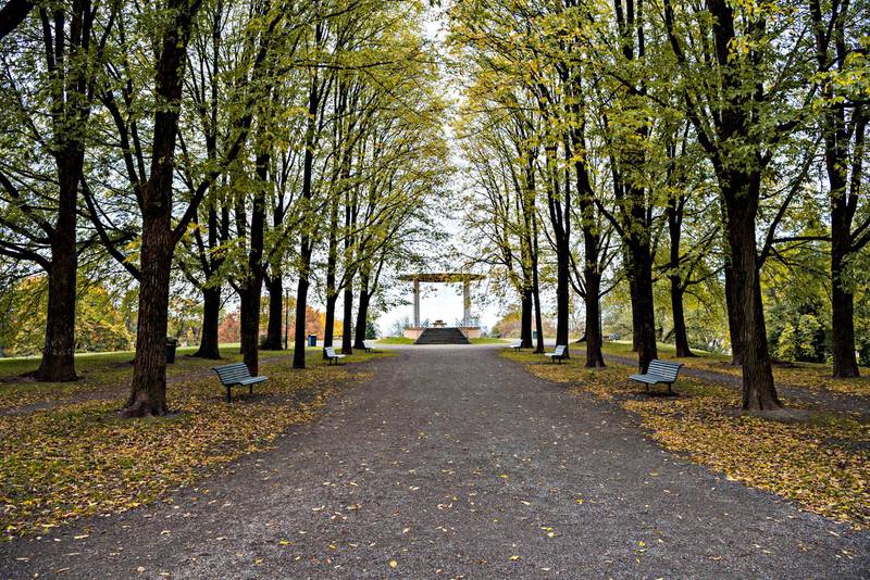 På 1920- og 30-tallet ble det satt i gang flere grønne tiltak i Oslo. Idealet var lys, luft og rekreasjon. Torshovparken, som ble planlagt og anlagt under bygartner Marius Røhne, er et godt eksempel.