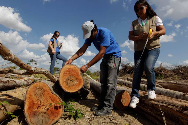 FILE - In this Sept. 22, 2011 file photo, local environmental enforcement officers measure illegally cut timber in Paragominas in the northern state of Para, Brazil. Brazil agreed to reduce greenhouse emissions by 37 percent below 2005 levels by 2025. For that to happen, it needs to increase biofuels as a part of its energy infrastructure and sharply reduce deforestation. (AP Photo/Andre Penner)