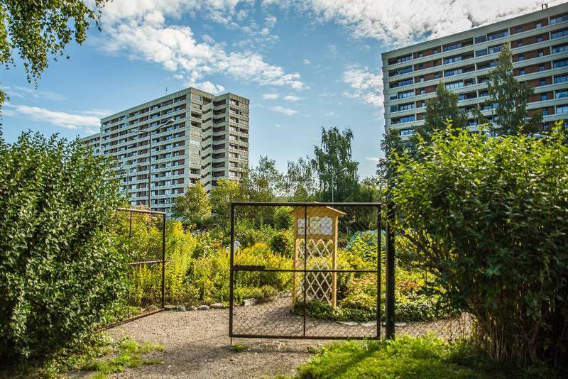 Pasellhagene gir blokkbeboere mulighet til å ha sin egen hage i byen.
