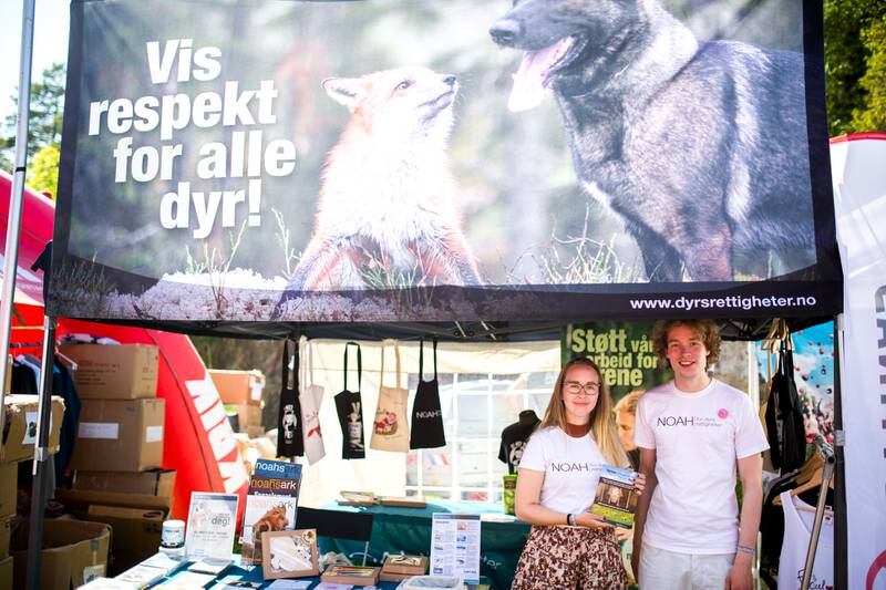 Knut Overskeid og Elisabeth Braarud fra NOAH skal informere om dyrs rettigheter i Norge, og generere medlemmer til organisasjonen NOAH, ved å dele ut medlemsblader og selge buttons.