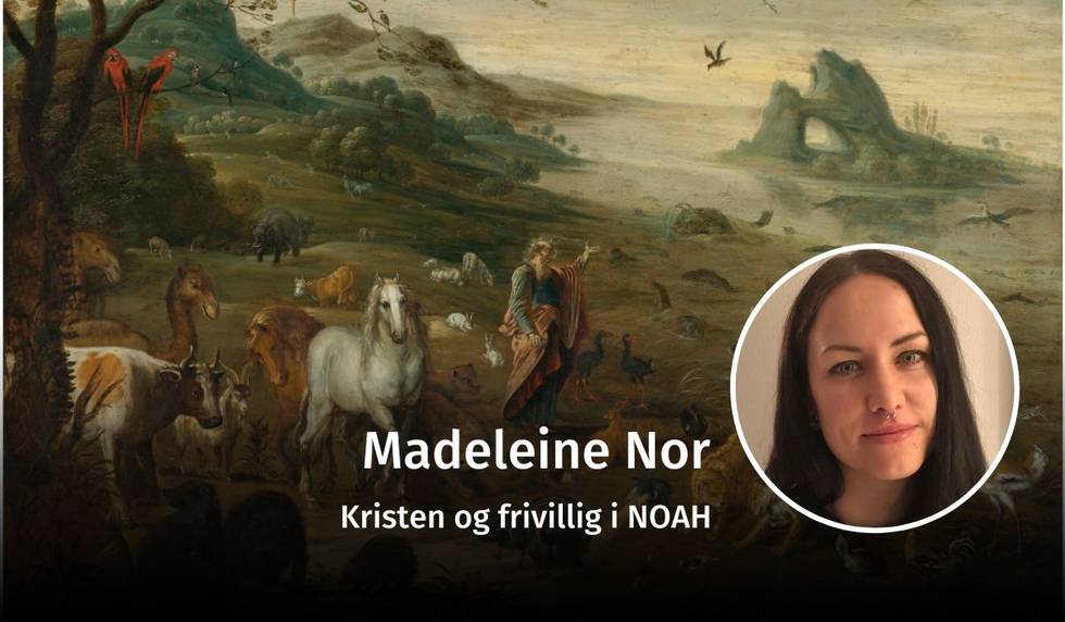 Madeleine Nor, dyrevelferd, debatt