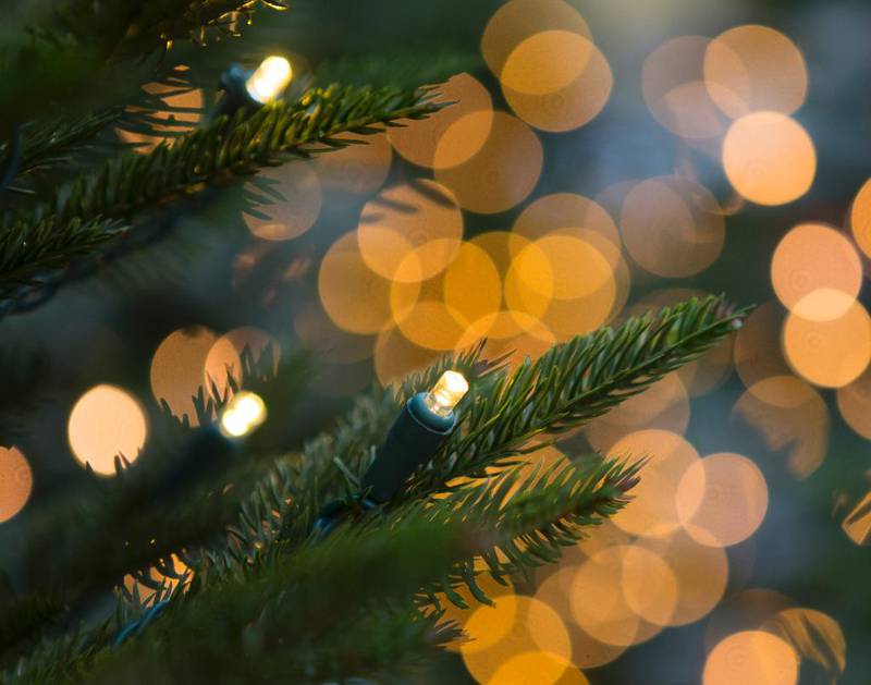 Mange nordmenn sier i år «god dag» til plasttrær – betyr det et farvel til naturlige juletrær?