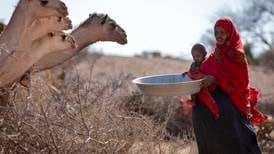 FN slår sult-alarm på Afrikas Horn