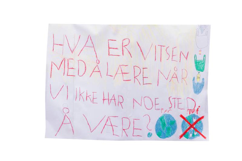 Elevene som demonstrerte i Oslo hadde laget egne kampanjeplakater...