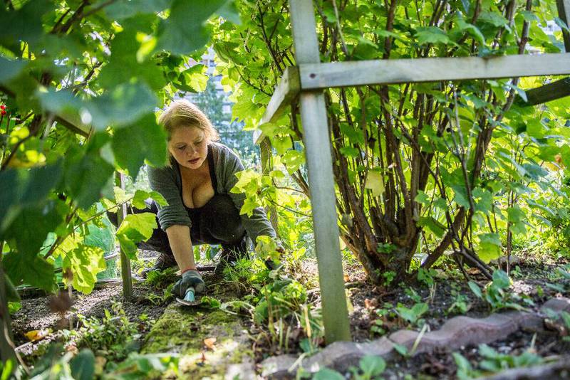 Pasellhagene gir blokkbeboere mulighet til å ha sin egen hage i byen. Tveita Parsellhager sin leder Monique Nordhagen bor i en av «tveitablokkene», og har sin egen parsellhage rett utenfor blokka.