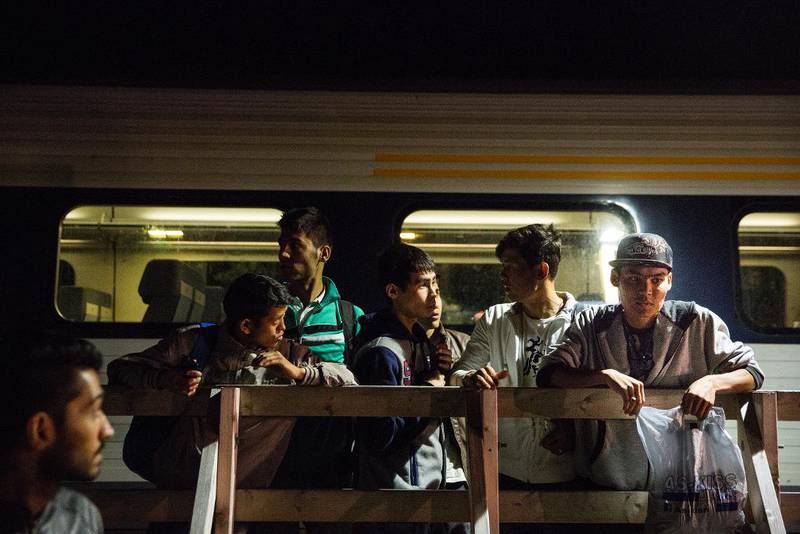 I september var det kaotisk på Rødby stasjon i Danmark da flyktningene som hadde sittet ombord i et tog i flere dager plutselig forlot området. Politiet som tidligere hadde stått rundt var borte. Flyktningene, mange av dem fra Syria, ble kjørt videre av privatpersoner som stilte med biler. Foto: Tore Meek / NTB scanpix