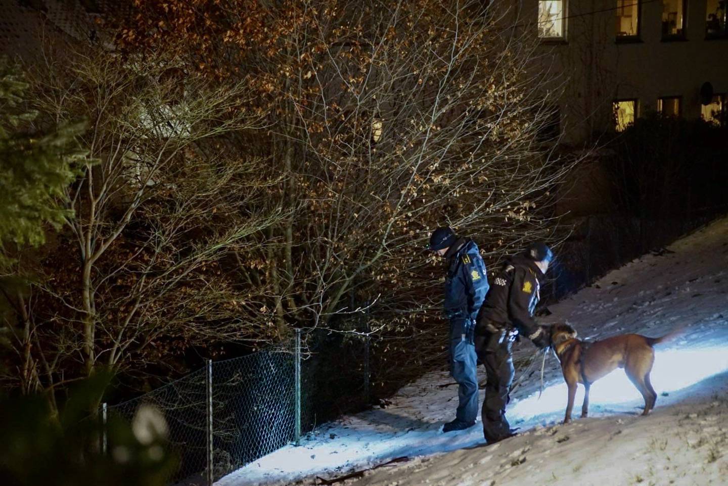 Politiet søkte med hund i nærheten av leiligheten der en mann ble funnet hardt skadd i Bergen onsdag ettermiddag. Foto: Sandor Dahl / Bergen Foto og Media / NTB