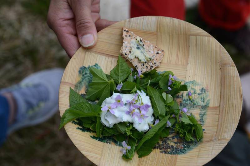 «Mat fra grøftekanten» var et vandrekurs der Bærekraftige liv gikk rundt i nabolaget og ble kjent med spiselige vekster. 