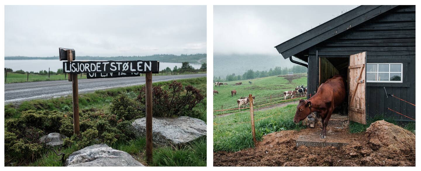 Lisjordet Stølen i Valdres