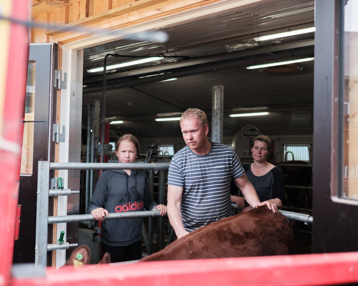 Lisjordet Stølen i Valdres