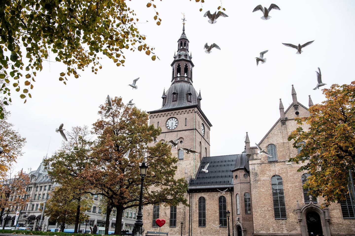 Oslo 20221020.
Oslo domkirke torsdag ettermiddag.