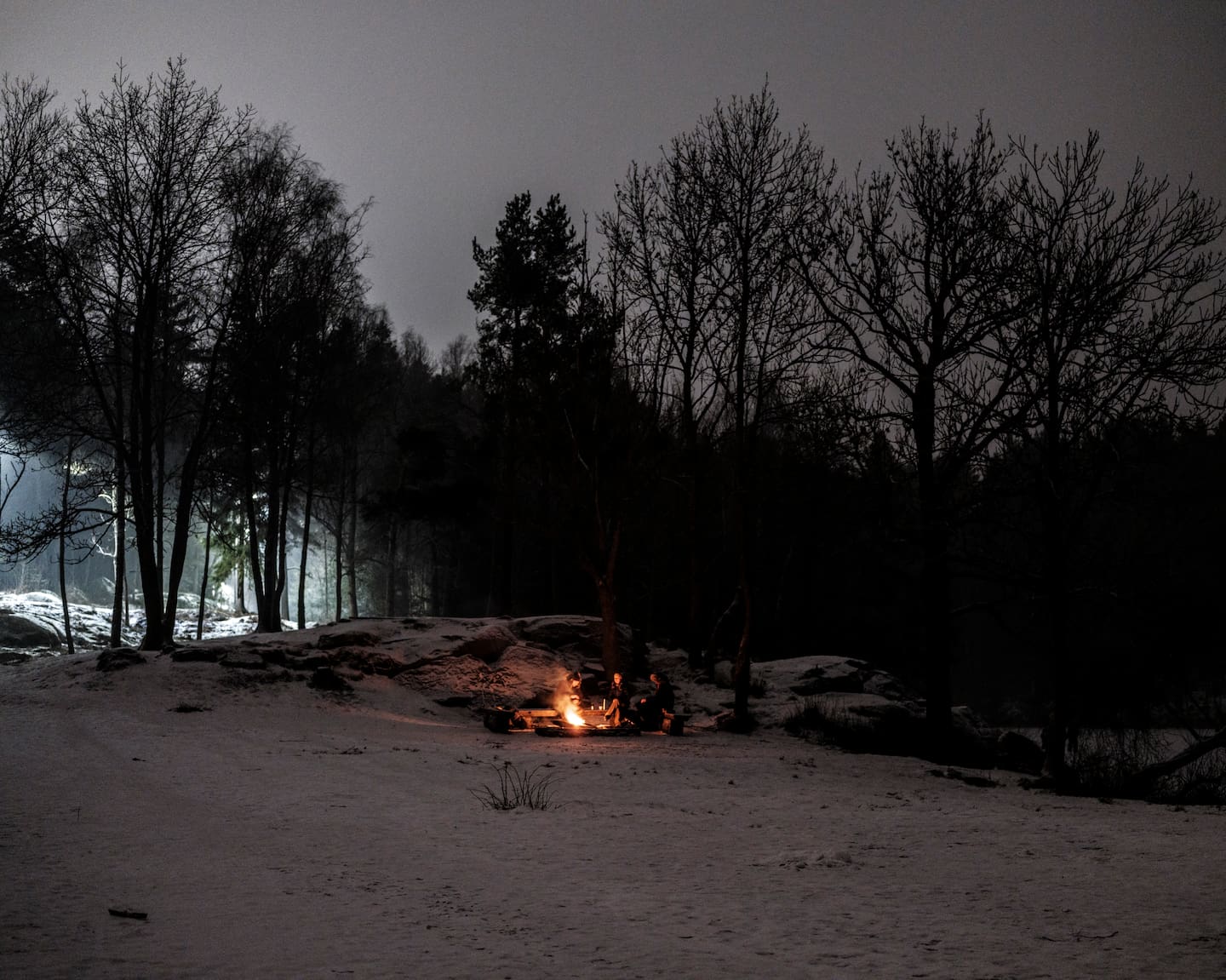 Solsnu. Årets mørkeste dag. Ut i skogen med Sigri Sandberg og Elisabeth Thorsen.