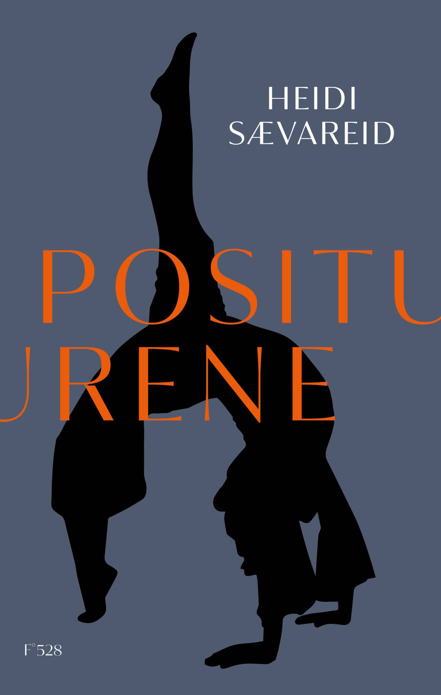 Positurer
