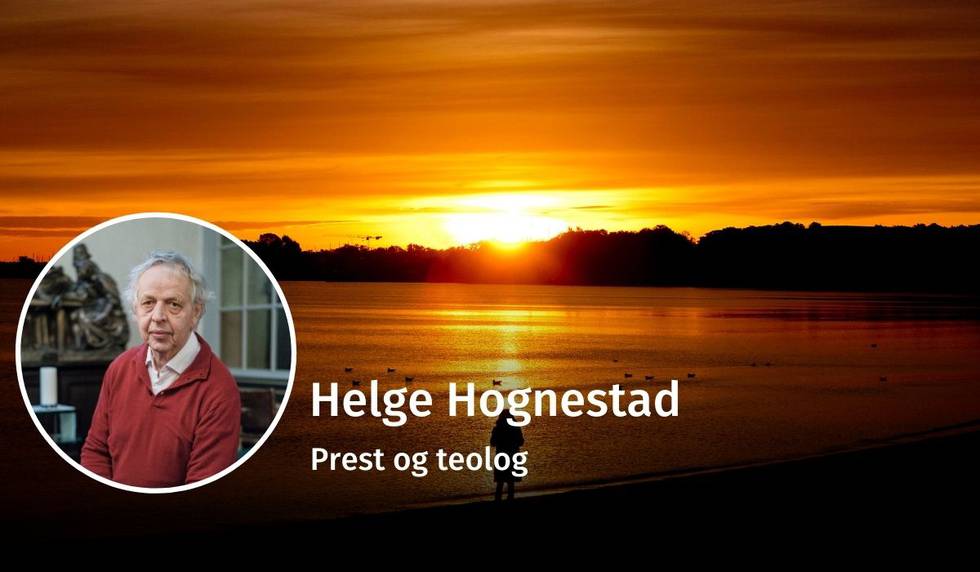 Helge Hognestad, debatt