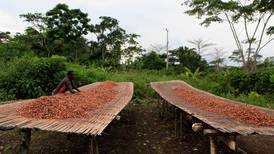 Danwatch: Fattigdom og barnearbeid bak Fairtrade-sjokolade