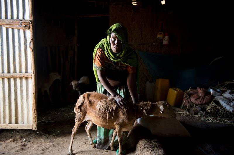 Momina Reshid har mistet et barn under tørken. Hun har to geiter inne i huset sitt i Etiopia.