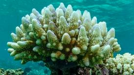 Skader på nesten hele Great Barrier Reef