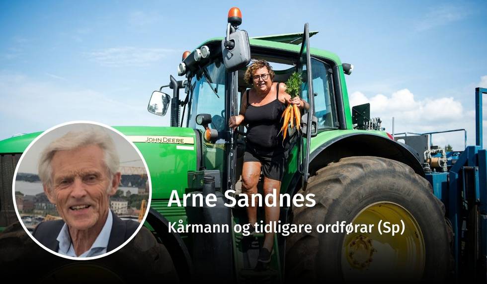 Arne Sandnes, bondeopprør, debatt