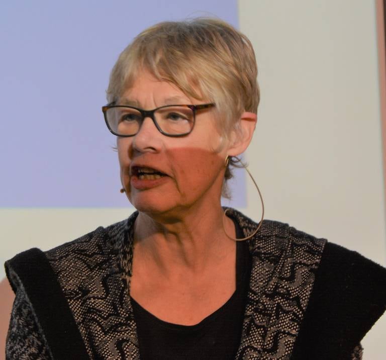 professor Anne Hellum, leder for Avdeling for kvinnerett, barnerett, likestillings- og diskrimineringsrett ved Institutt for offentlig rett ved Universitetet i Oslo.